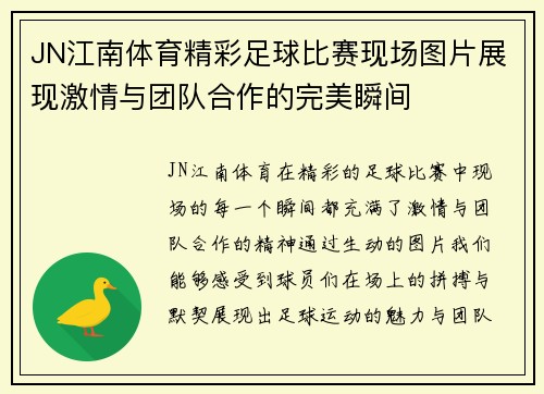 JN江南体育精彩足球比赛现场图片展现激情与团队合作的完美瞬间